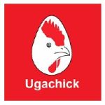 Ugachick logo